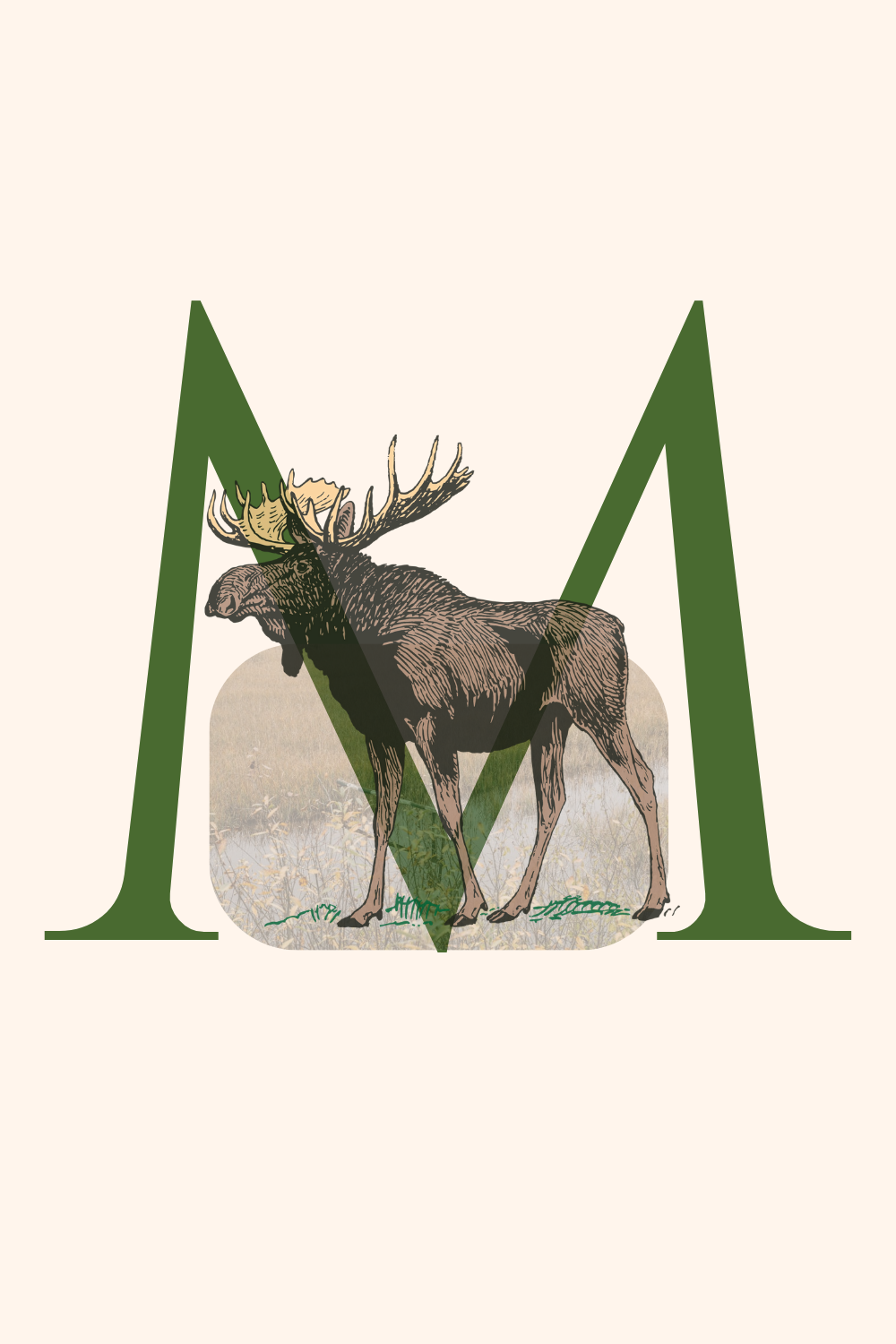 Nature and wildlife alphabet digital designs.